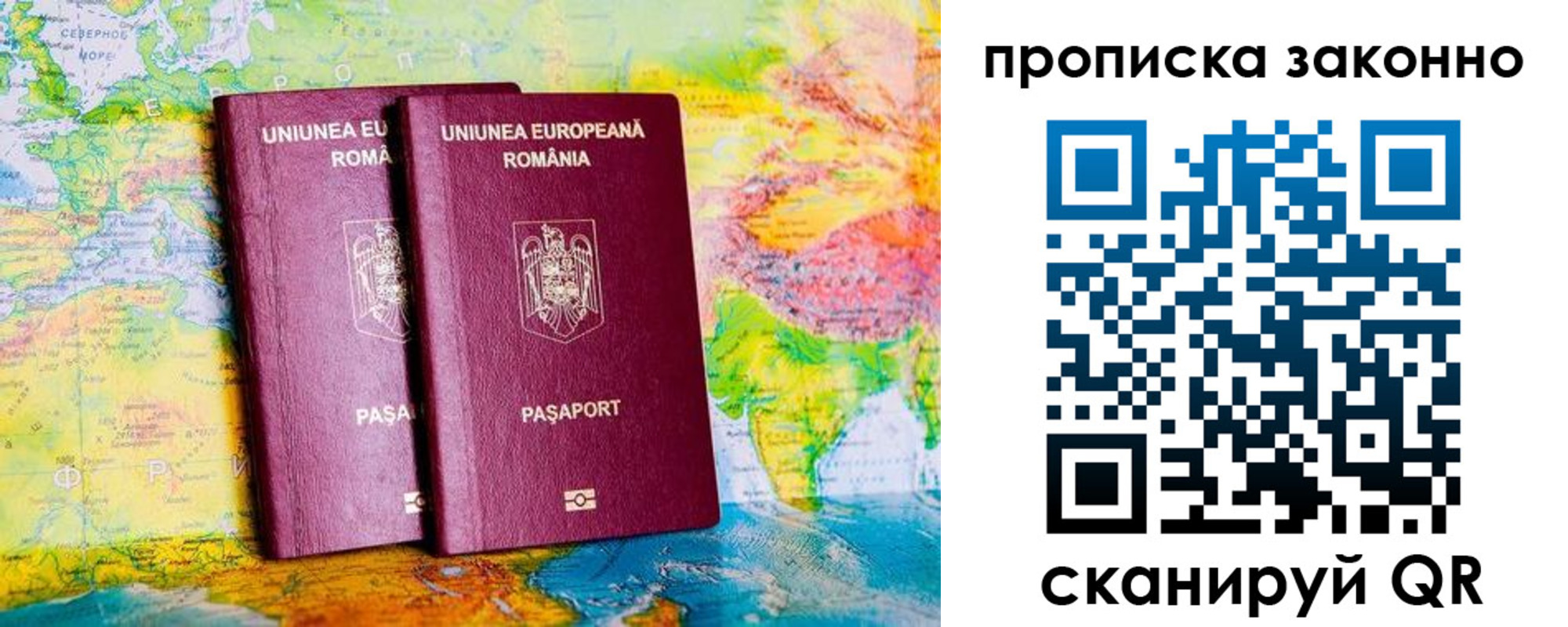 прописка поиск в Ростове-на-Дону